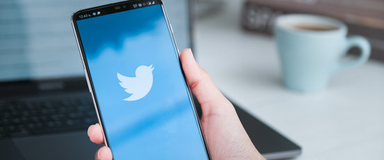 Scam of the Week: Twitter Blue Scams