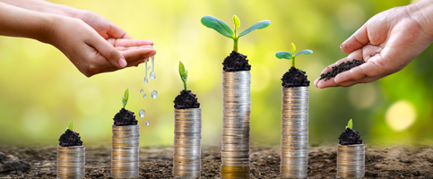 Simple Ways to Build Wealth Over Time