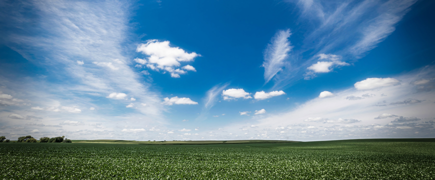 Rural Iowa Cornfield