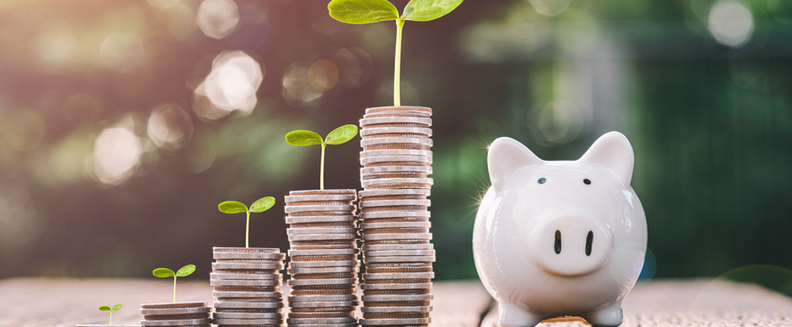 Coins with a piggy bank