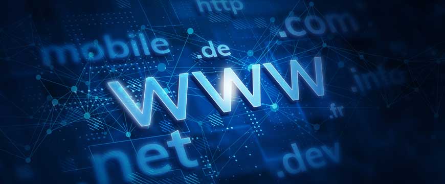 Domain Name Examples