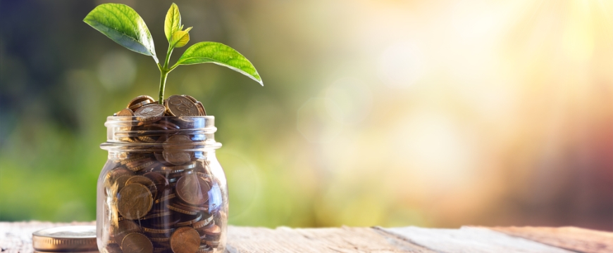 Money Tree growing in a jar of pennies representing growth