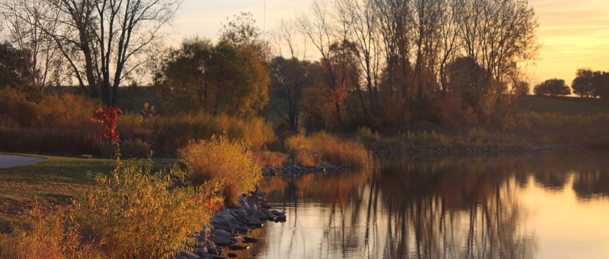  Our Focus, reflections in lake of autumn trees